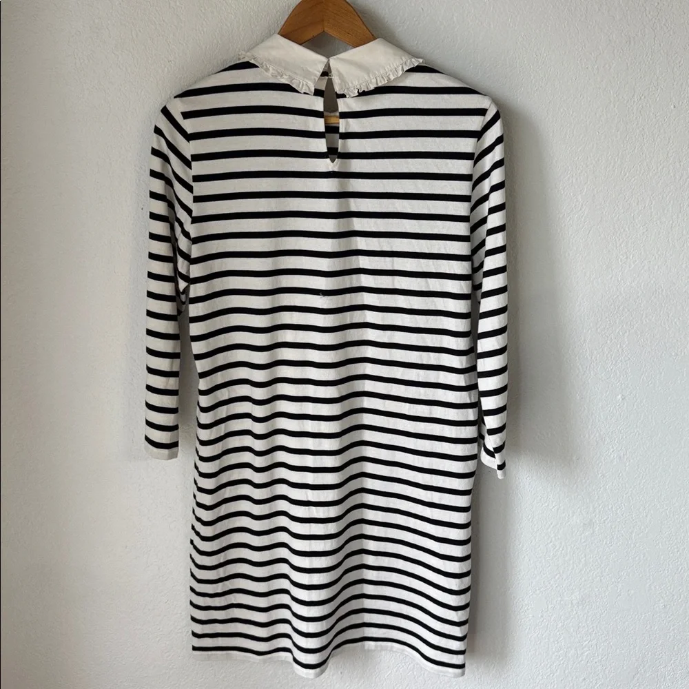 Kate Spade Collared‎ Dress